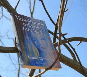 IMG_1962 - version 2